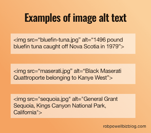 Accessibility in UX Design: Examples of image alt text showing descriptive language being used for each image
