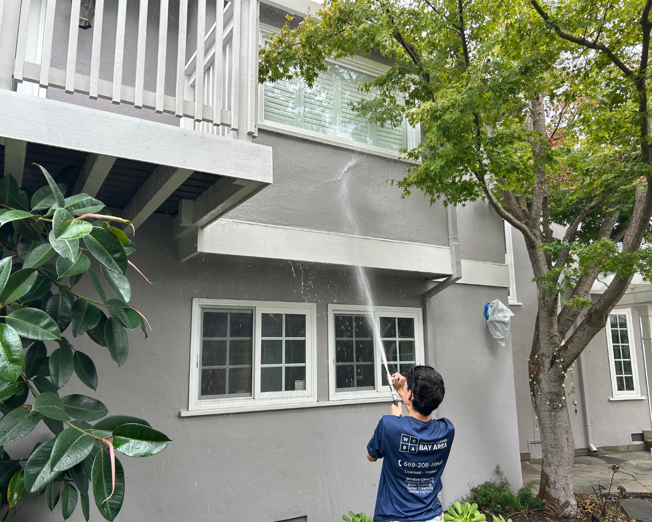 How To Remove Cobwebs From House Without Damaging Paint