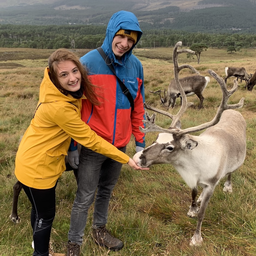 A woman in a yellow jacket feeding a reindeer while a man in a blue and red jacket stands beside her in a grassy field.