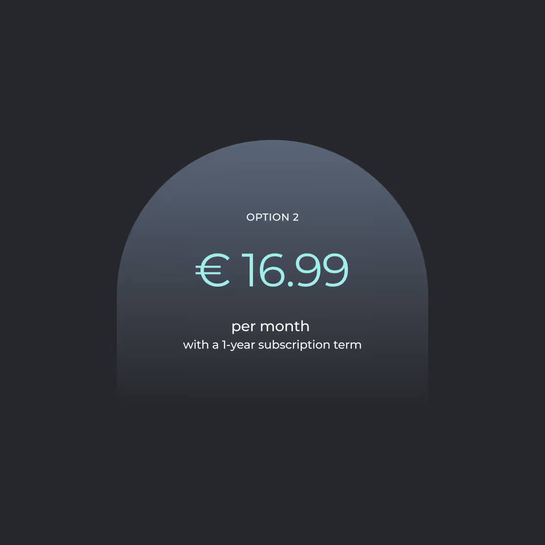 Subscription option labeled 'Option 2' priced at €16.99 per month with a 1-year subscription term.