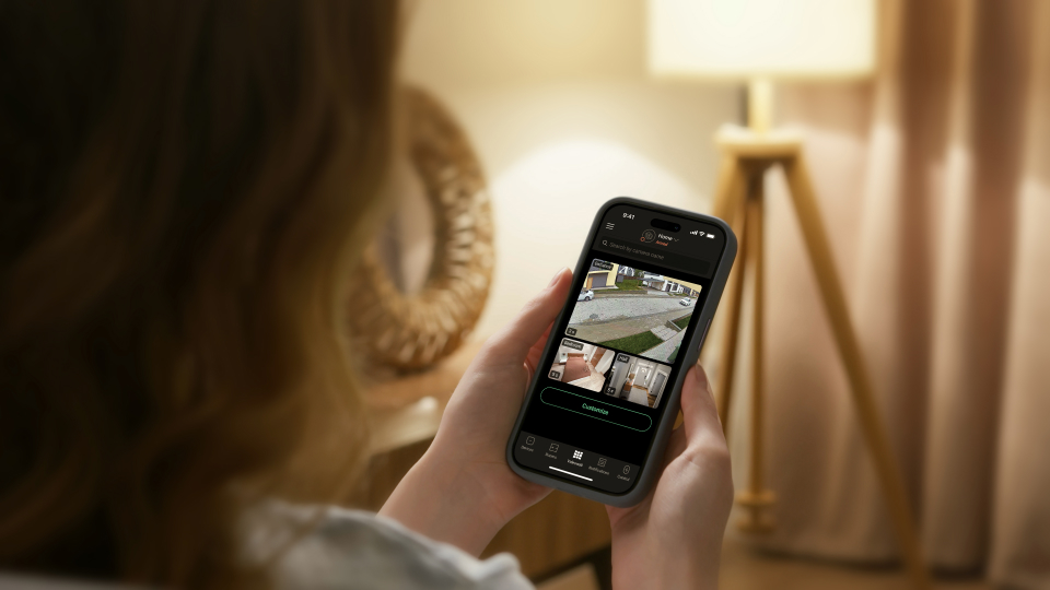 Homeowner monitoring security cameras remotely using a professional video surveillance system