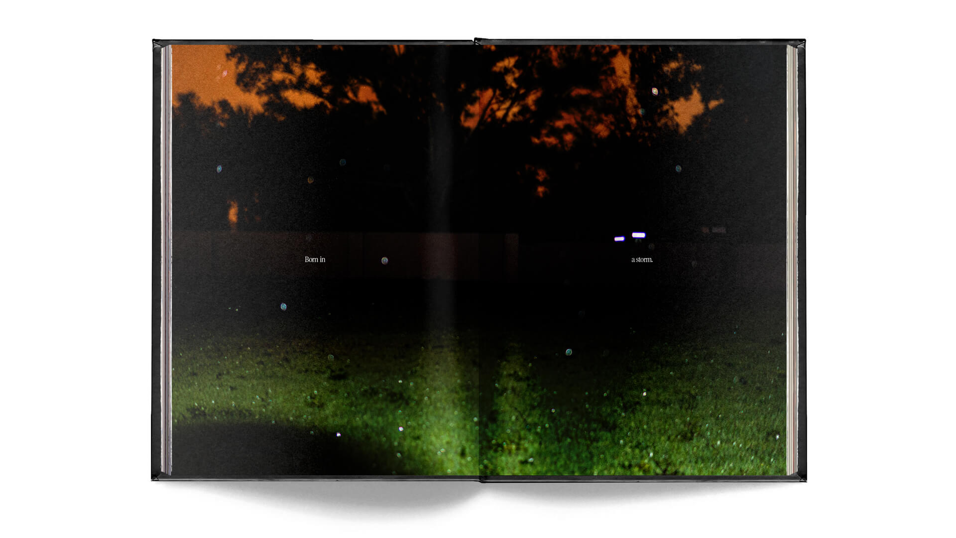 Vidi created during Hurricane Irma