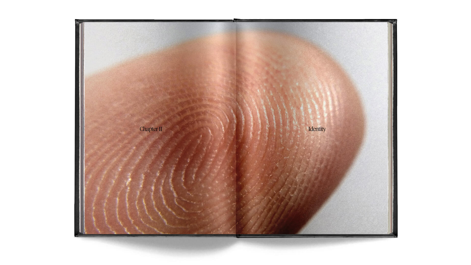 Chapter Two - Identity