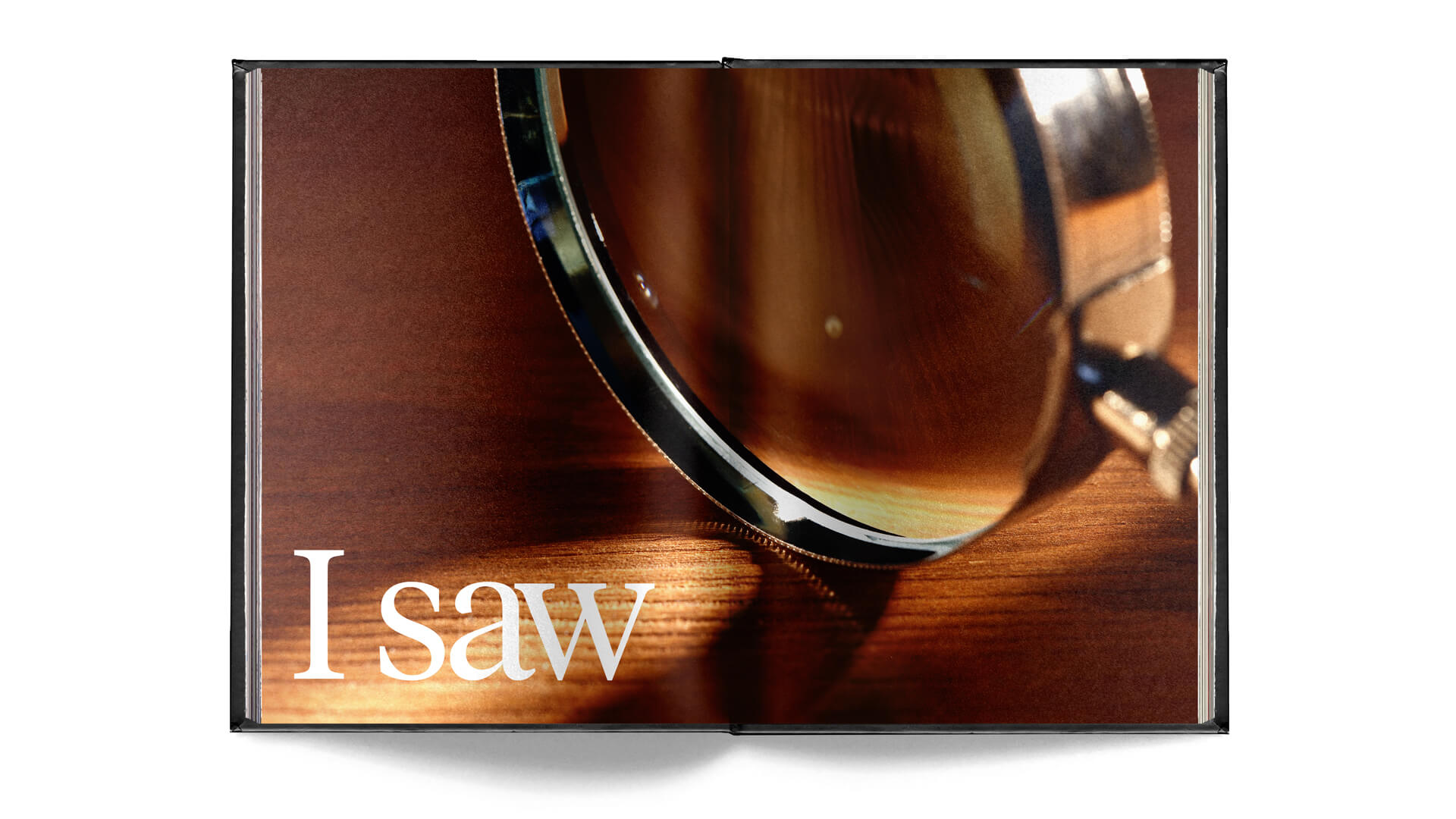 Vidi Meaning - Magnifying Glass