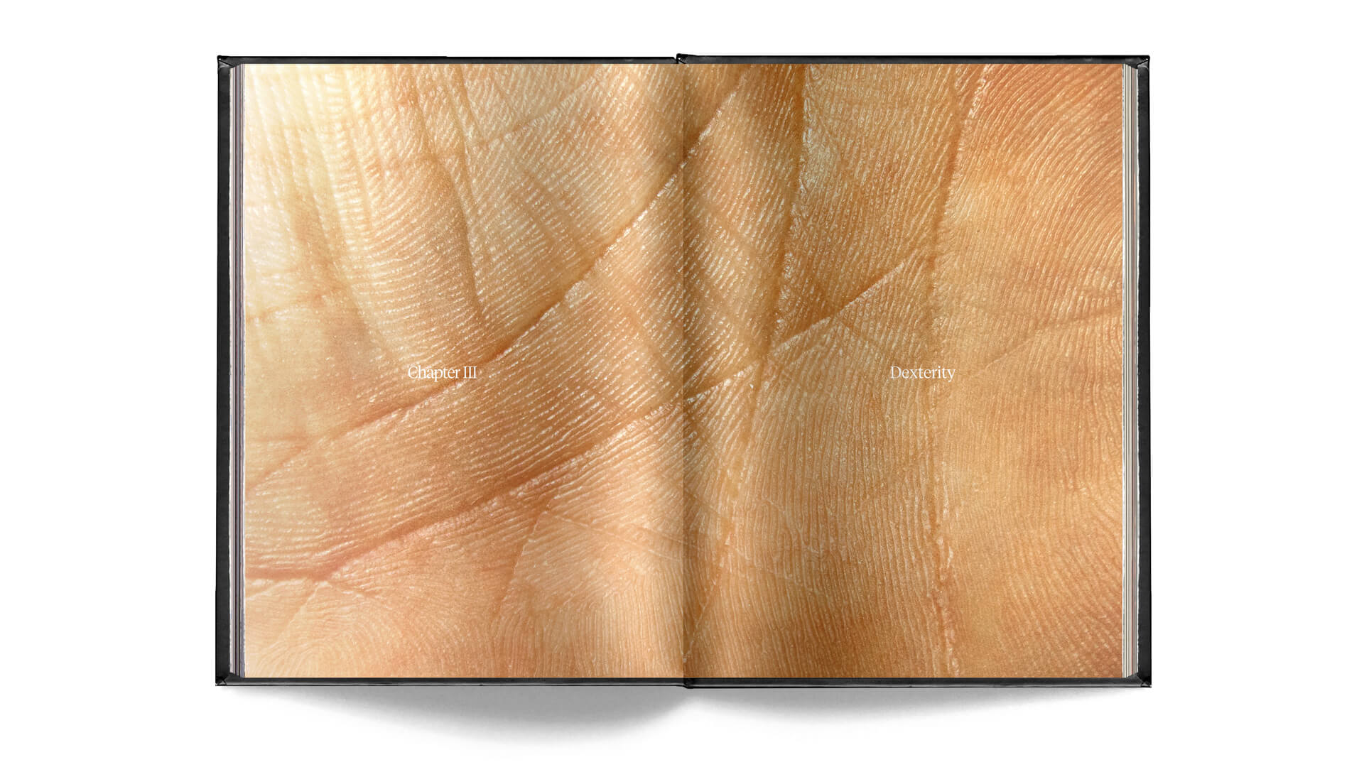 Chapter 3 - Identity