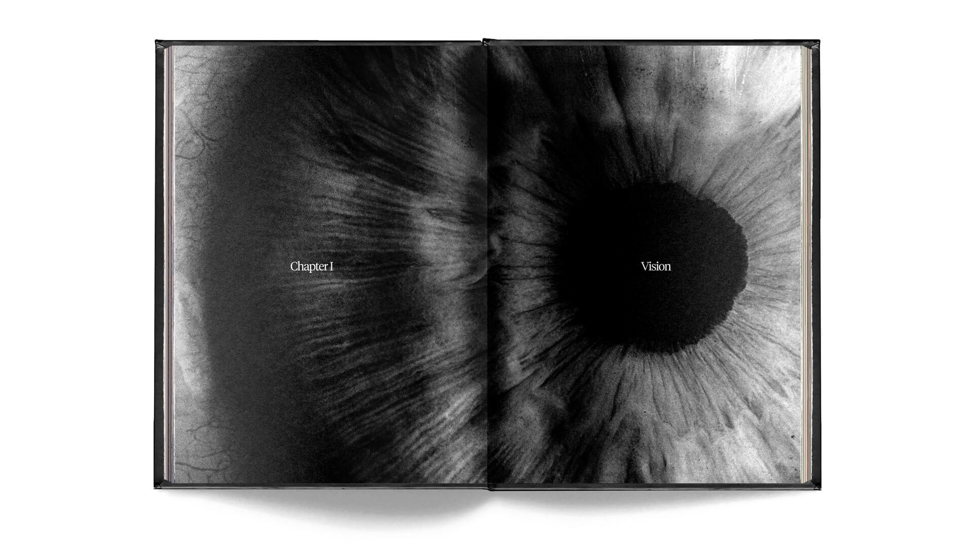 Chapter One - Vision