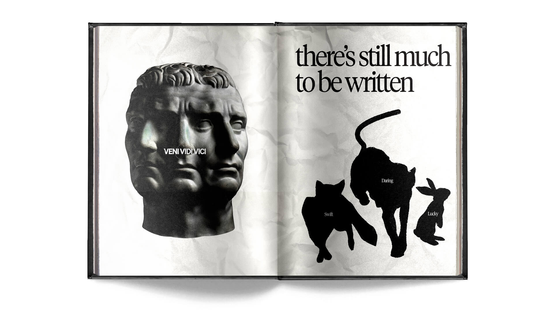 Veni Vidi Vici Artwork