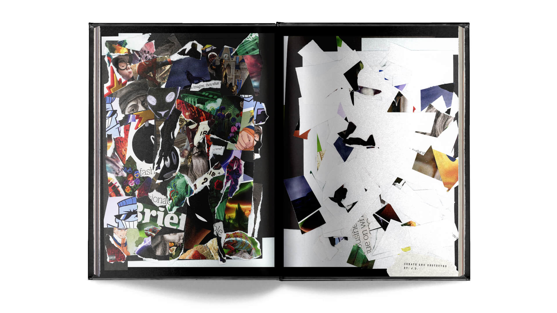 Create and Destroyed by J.D. Collage