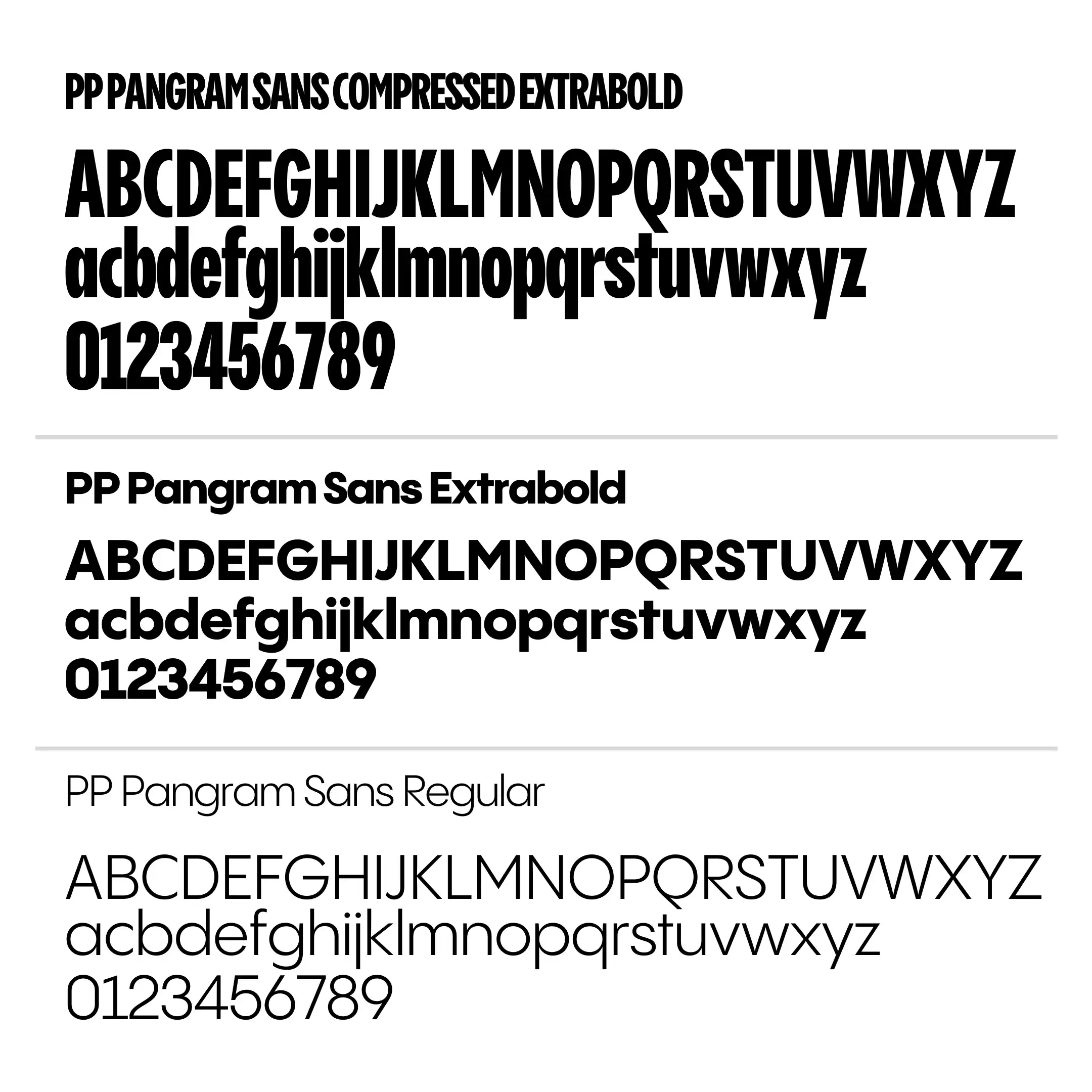 United Arts Brand Typography