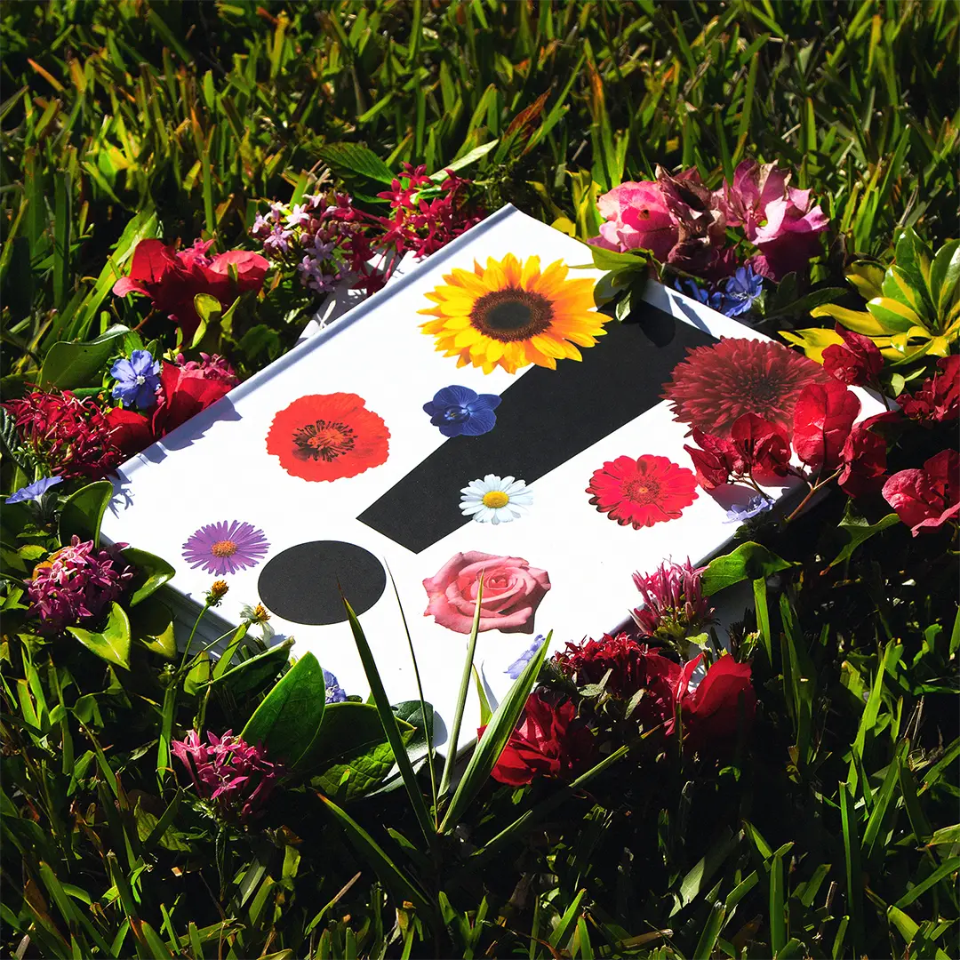 United Arts Culture Book Bloom