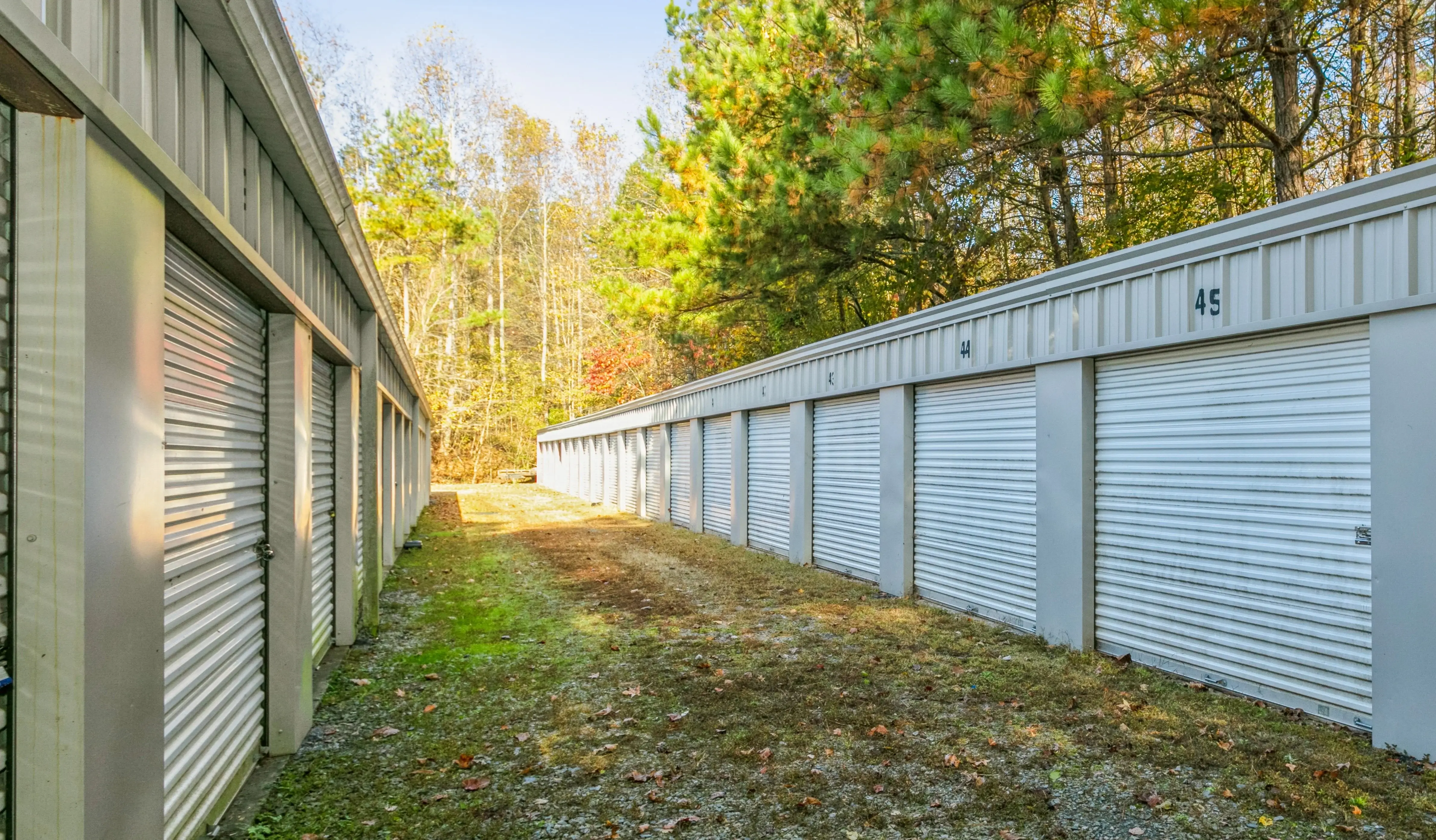 Row of drive up storage buildings with white doors and wooded backdrop in Ellijay GA