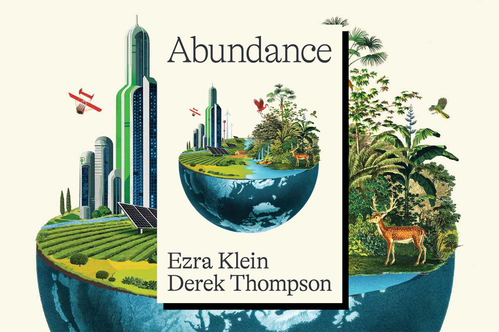 Book: Abundance