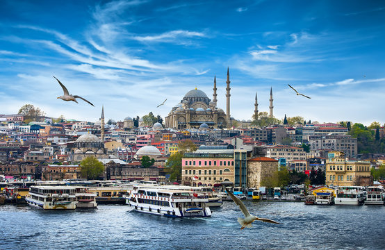 Cityscape of Istanbul featuring the Suleymaniye Mosque with boats on the water and birds flying overhead.