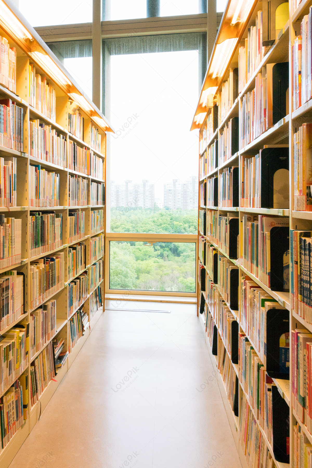 Bright library aisle with shelves filled with books on both sides and a large window overlooking green trees and distant buildings.