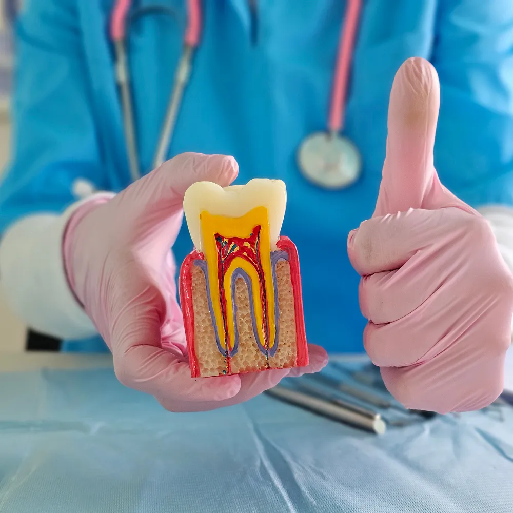 Natural tooth saved and pain relieved after root canal treatment for better comfort and function