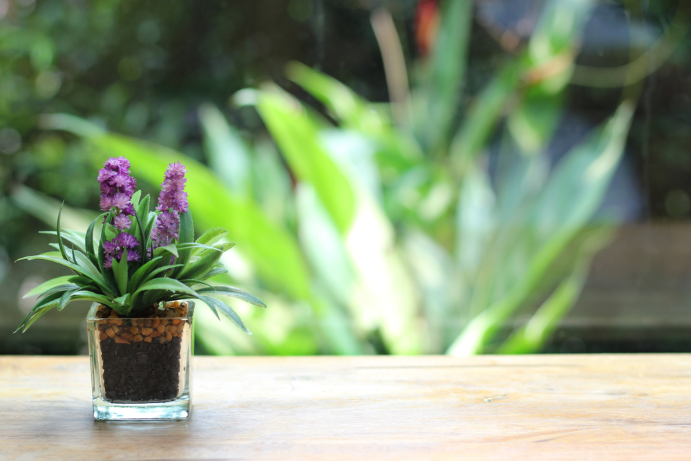 "airbnb hosting experience" "airbnb hosting experience reddit" "airbnb hosting experience worth it" "free airbnb hosting experience" "airbnb hosting experience near me" "best airbnb hosting experience" "airbnb experience host requirements" "airbnb experience host login" "airbnb experience supplier"