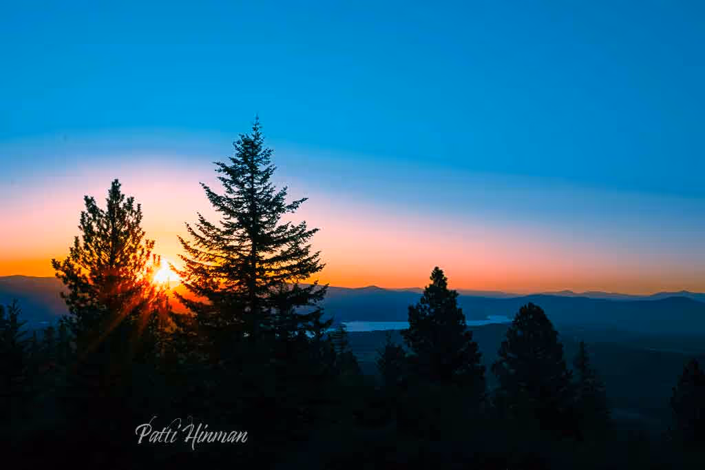 Sunset view with silhouettes of pine trees in the foreground and mountains in the background under a gradient sky.