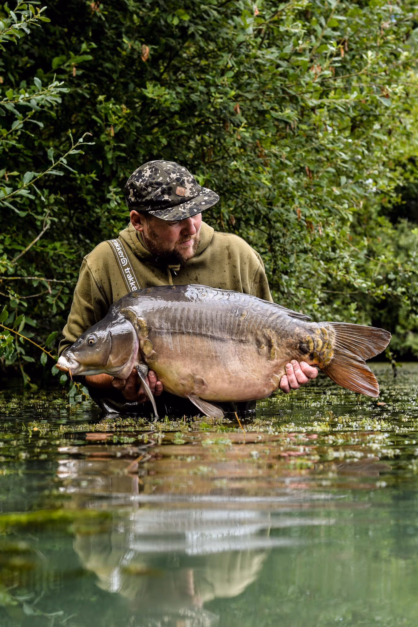 Un pêcheur tenant une grande carpe miroir au-dessus de l'eau dans un environnement boisé.