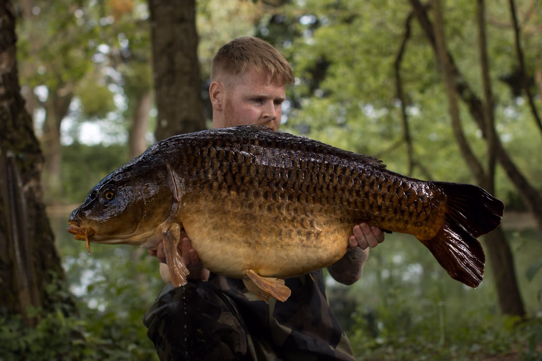 Un homme tient une grosse carpe commune humide devant un décor de forêt verte.