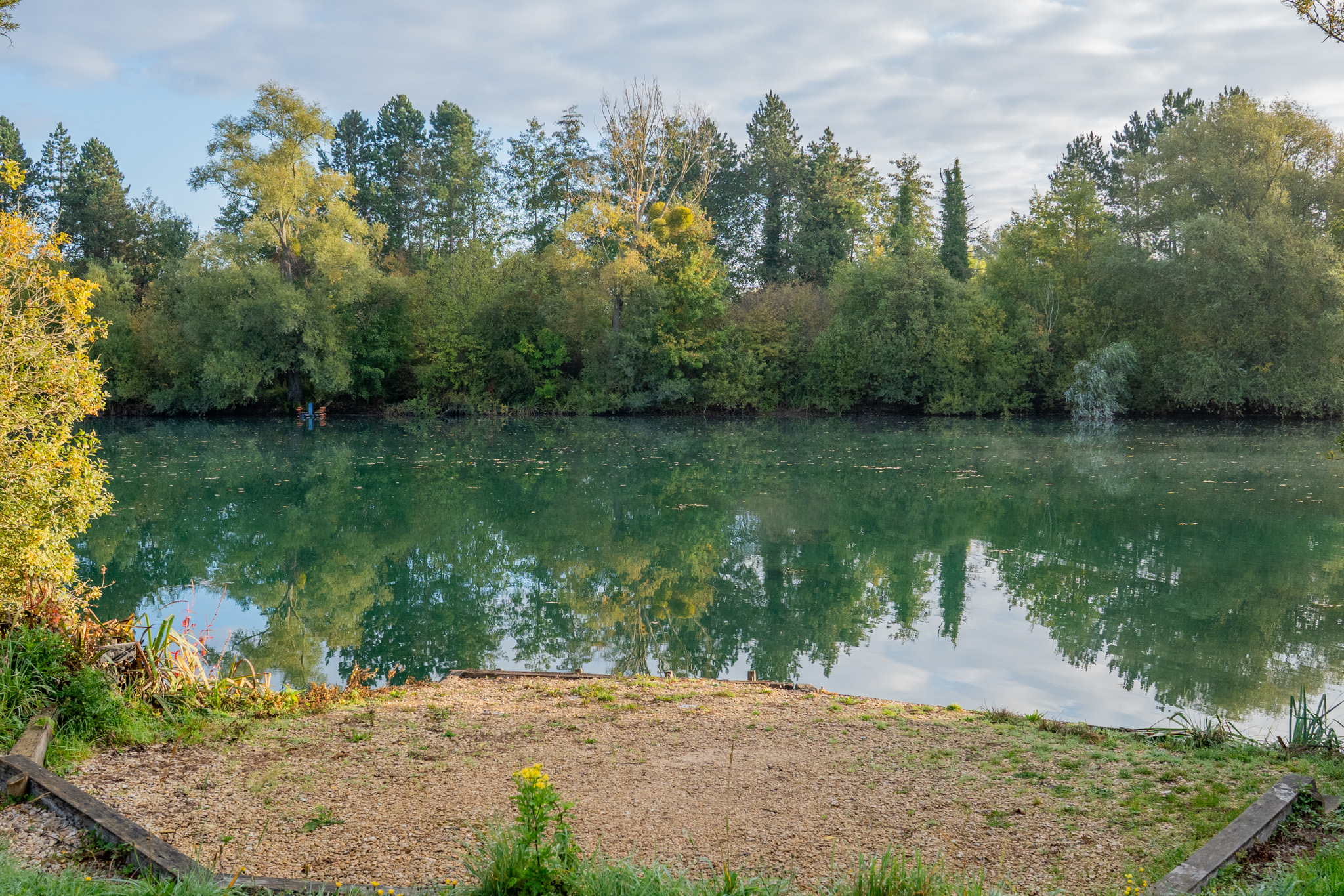 Rivière calme bordée d'arbres verts et jaunes avec leur reflet dans l'eau au crépuscule.