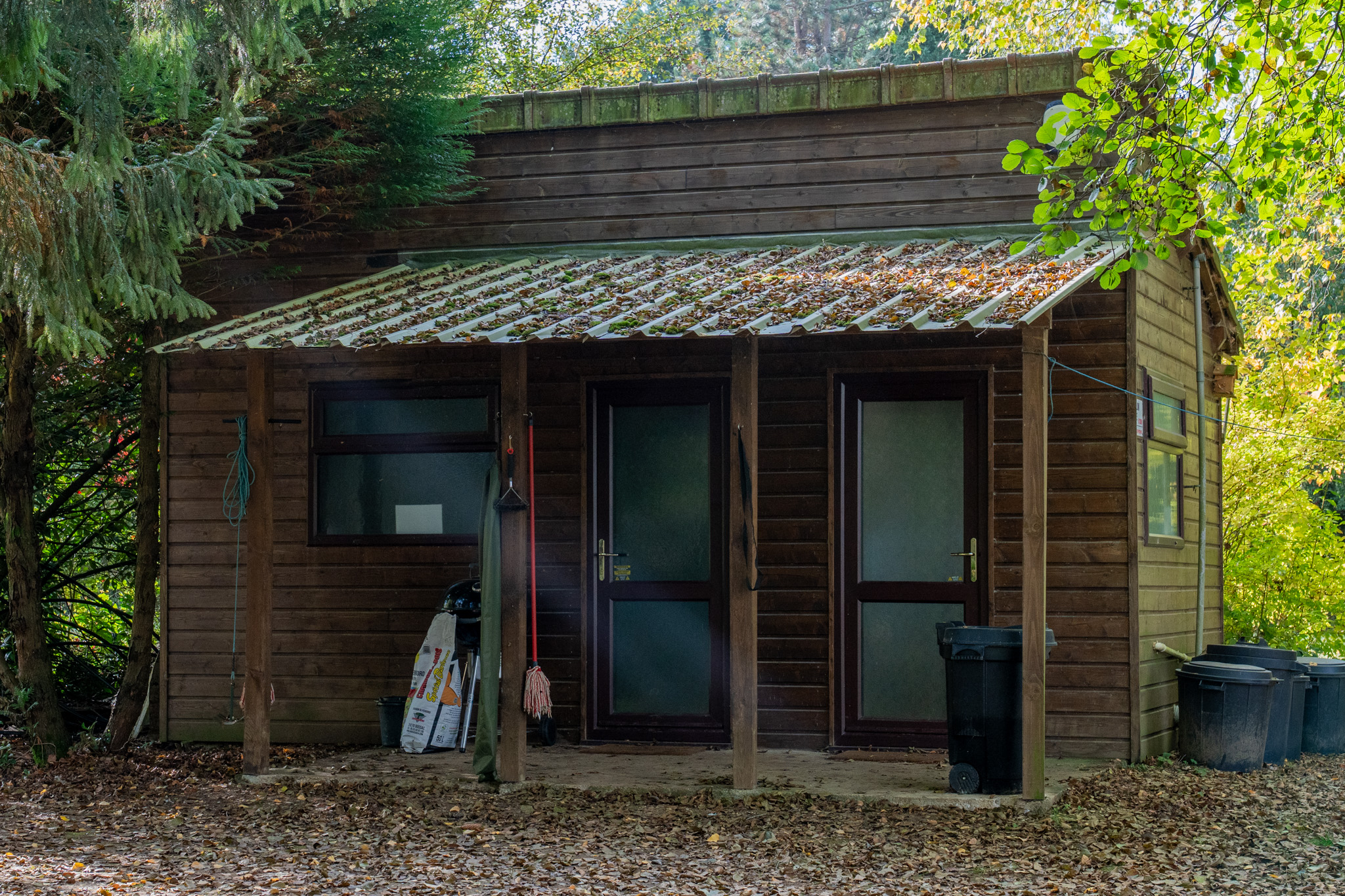 Cabane en bois avec deux portes et un toit couvert de feuilles mortes sous des arbres verts en automne.