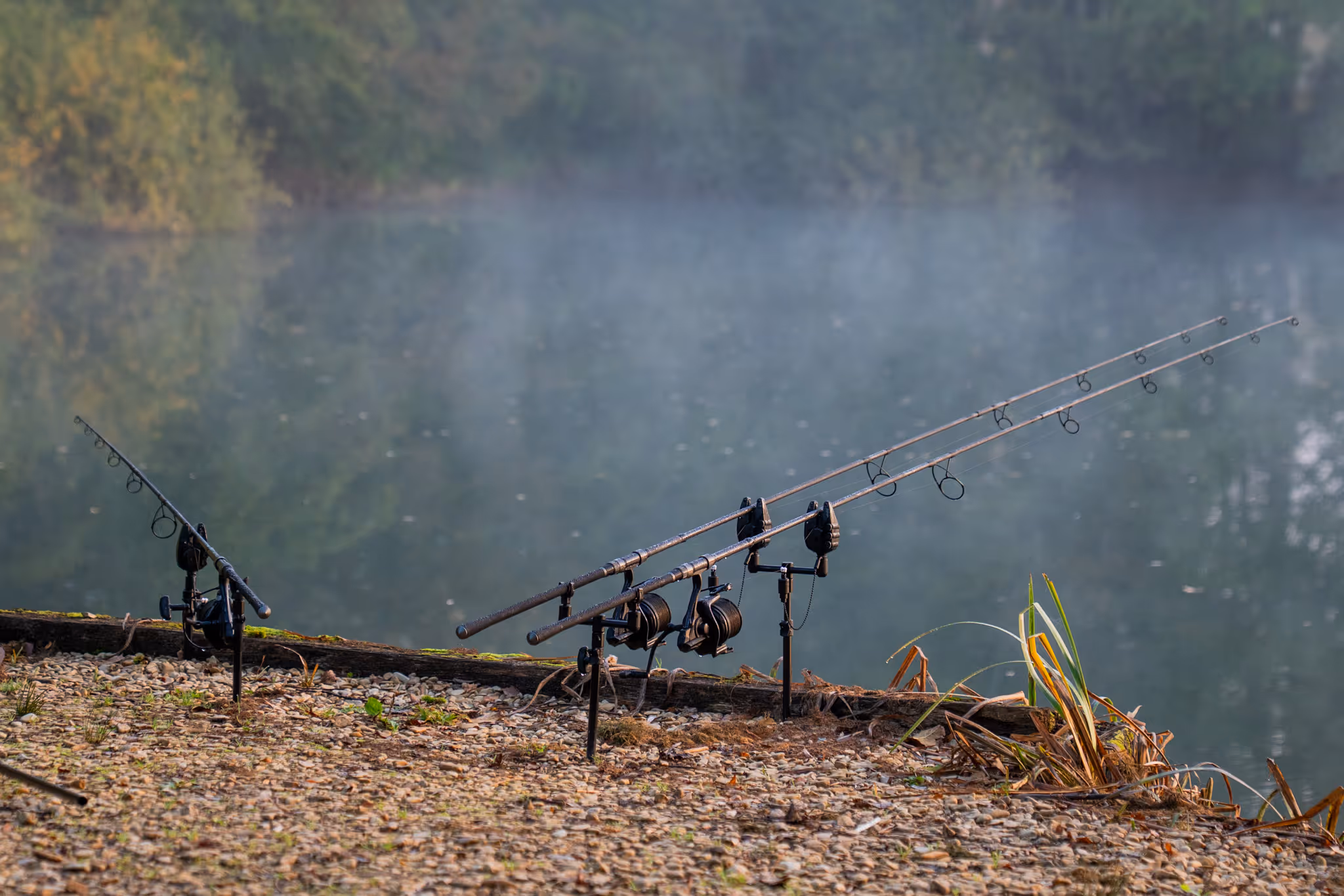 Trois cannes à pêche montées sur des supports au bord d'un lac calme avec des arbres flous en arrière-plan.