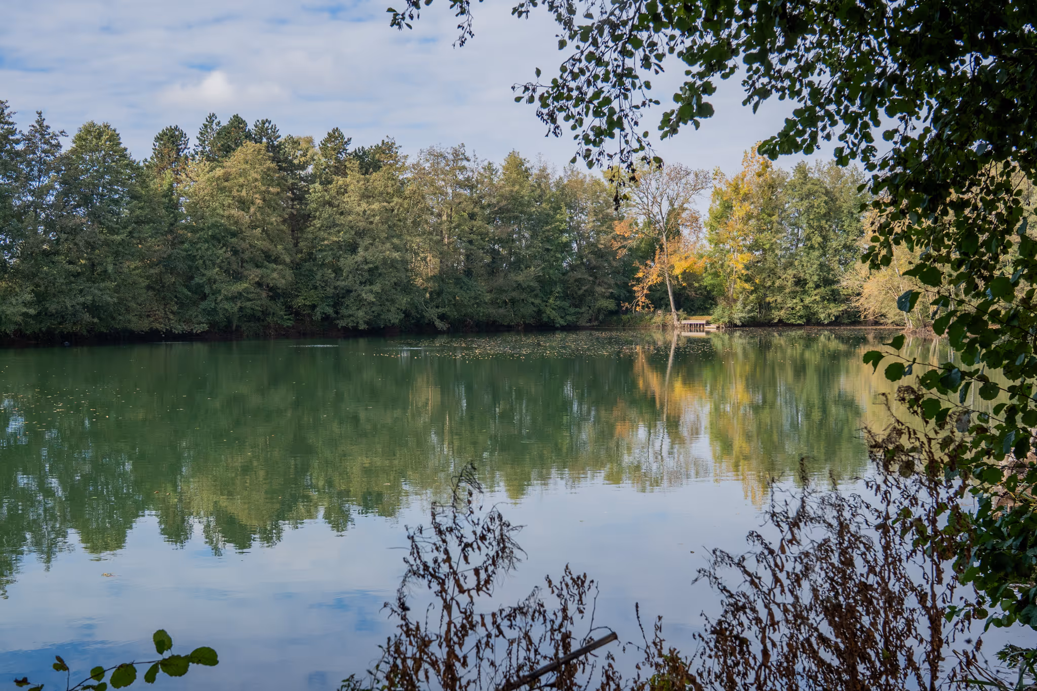 Lac calme entouré d'arbres verts et jaunes avec un petit pont en arrière-plan sous un ciel partiellement nuageux.