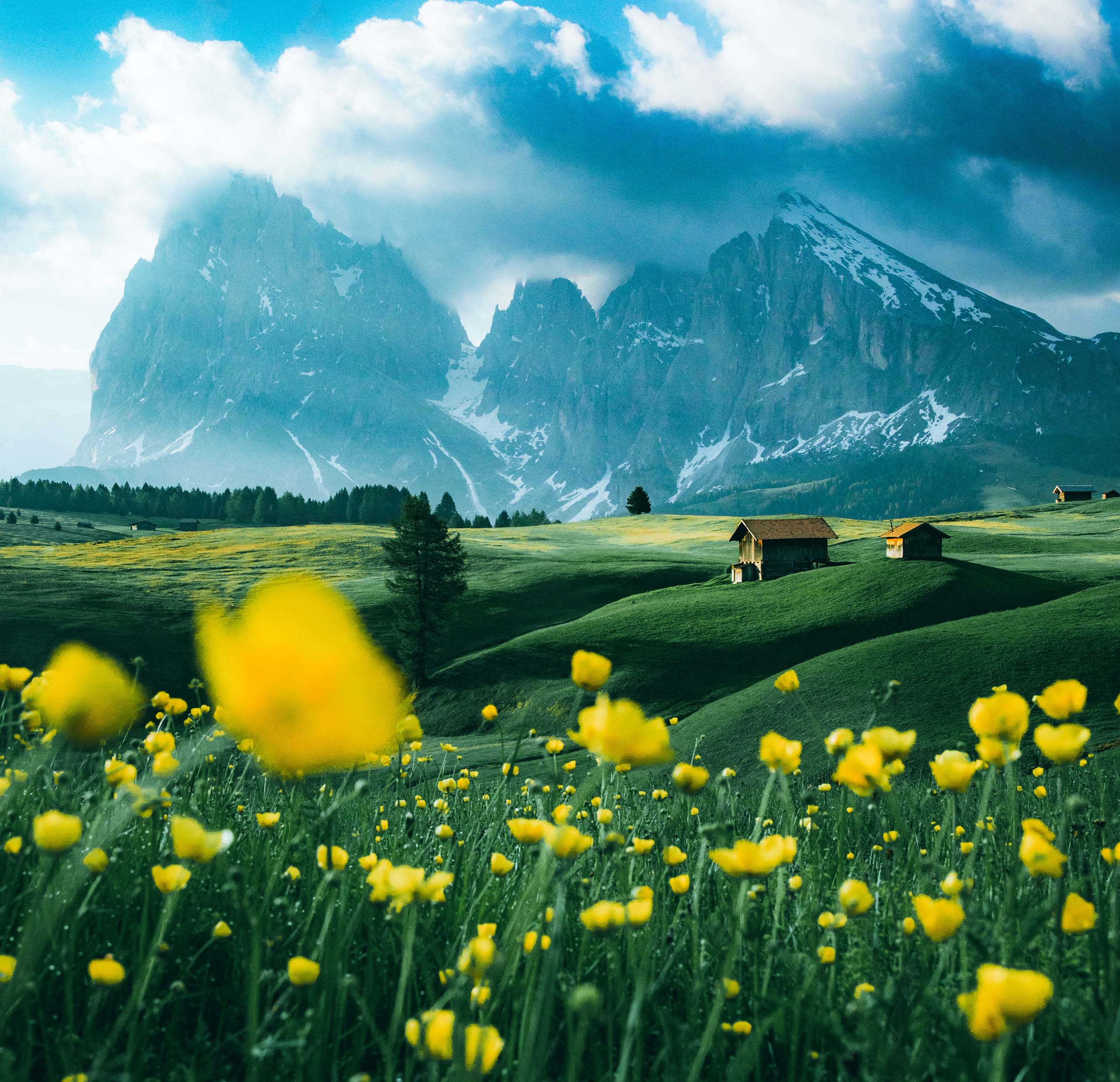 Green rolling hills with yellow wildflowers in foreground, wooden cabins, and snow-capped mountains partly covered by clouds in the background.
