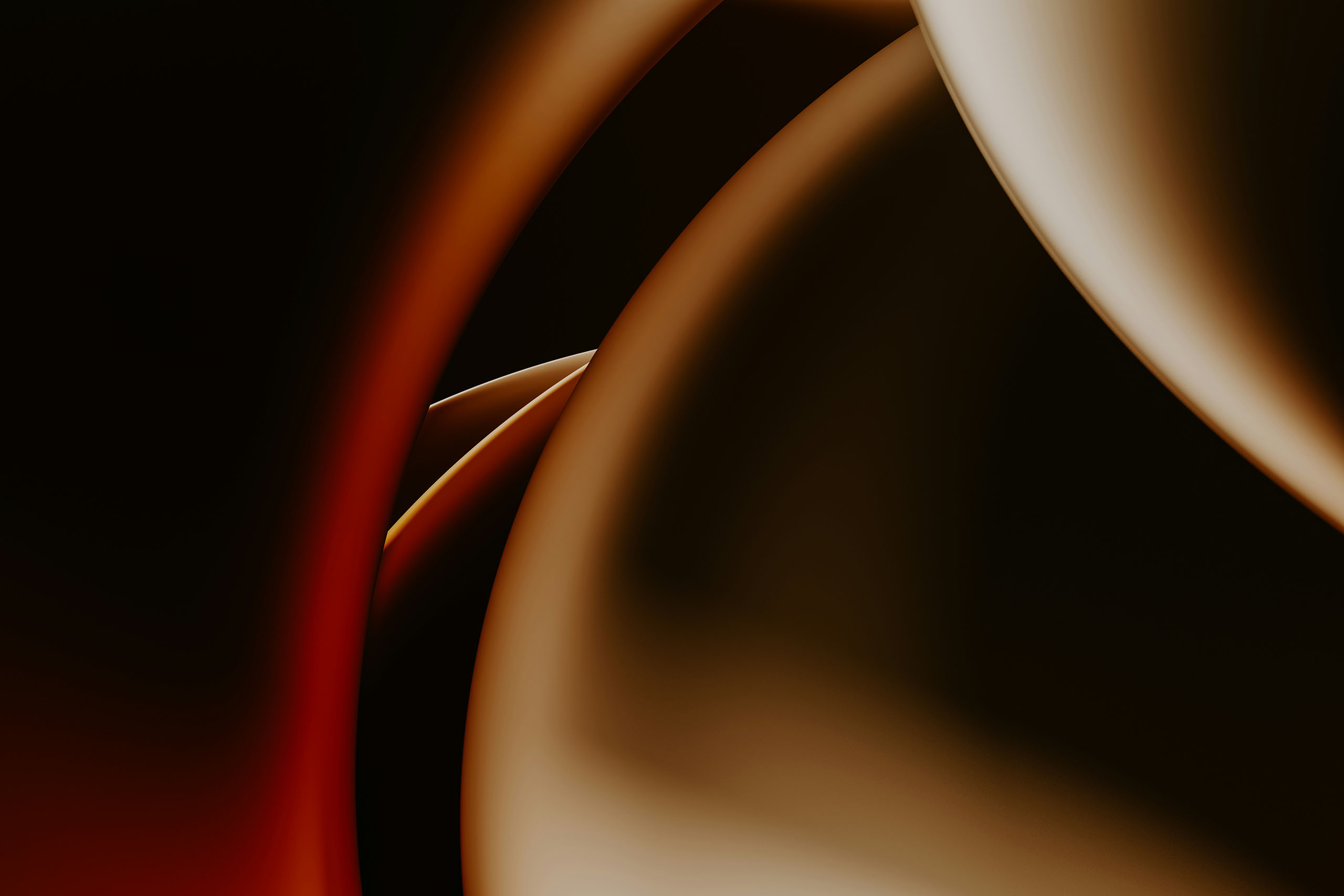 Abstract smooth shapes in warm brown and red tones on black background.