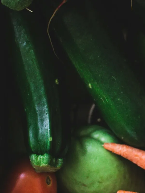 Close-up of fresh green zucchinis with a partially visible orange carrot and tomato.