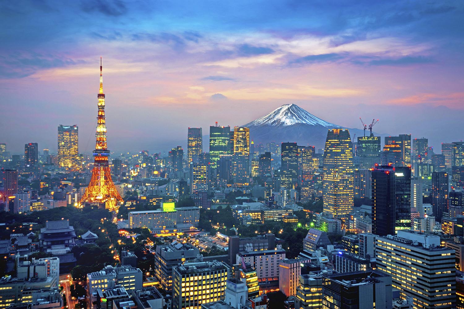 Japan announces it will not accept provisional application of the Energy Charter Treaty amendments adopted in December 2024.