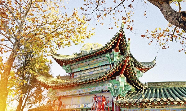 Belgravia Law newsletter (June 2024) — Belgravia Law June 2024 insights and updates: firm news, legal trends, and beyond