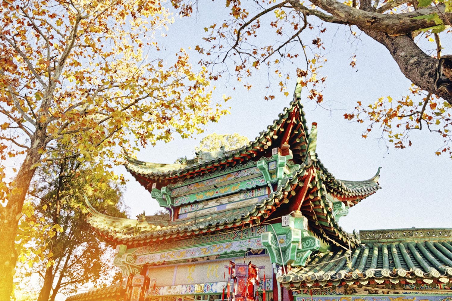 China proposes revisions to its Foreign Trade Law, focusing on digital trade, green development and modernised trade regulation.