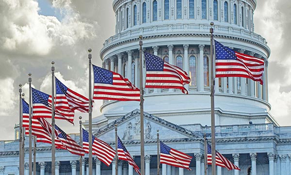 Belgravia Law newsletter (June 2024) — Belgravia Law June 2024 insights and updates: firm news, legal trends, and beyond