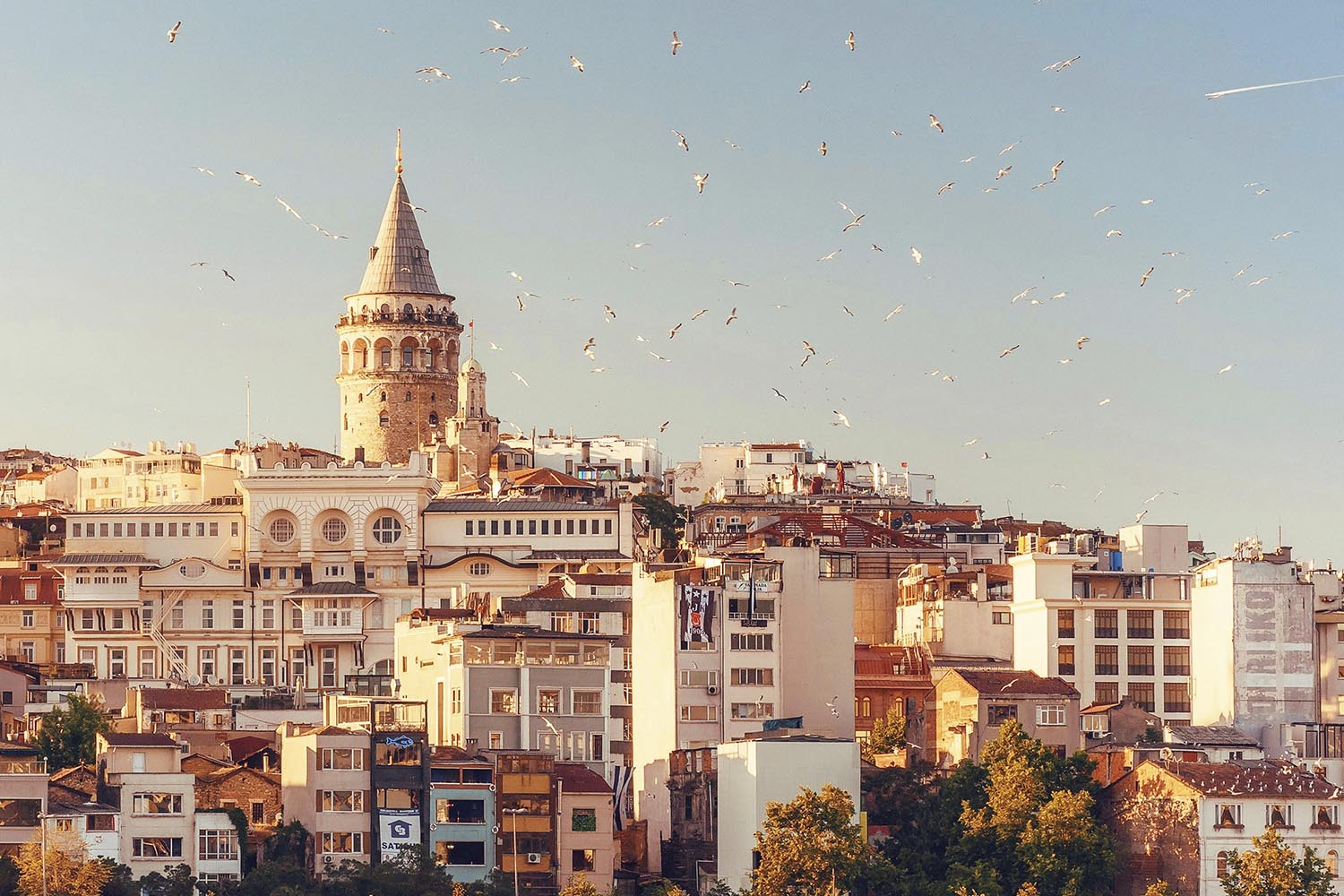 English Commercial Court clarifies “date of default” under GAFTA 100 and confirms advance payments are recoverable absent express non-refundable terms.