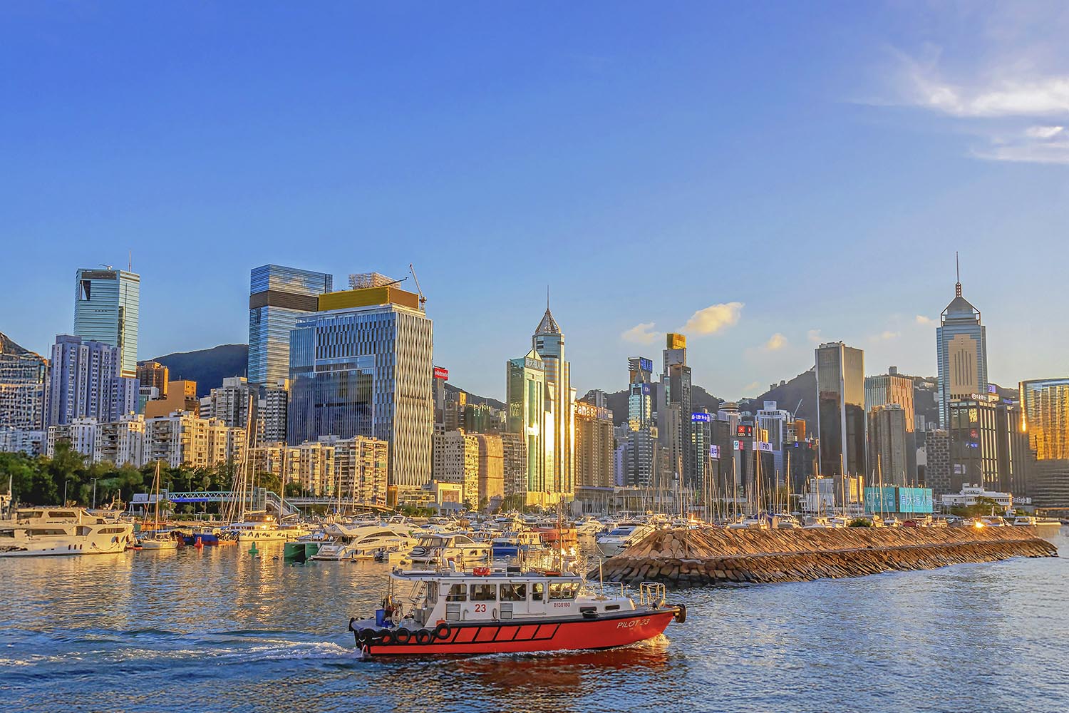 Izabella Prusskaya represented Belgravia Law at the HKIAC Workshop in Seoul, strengthening expertise in Web3, AI, and domain name dispute resolution.