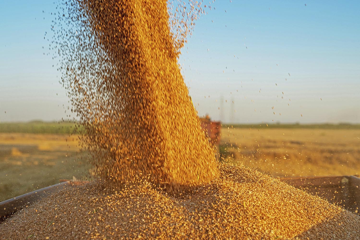 The Rostov Arbitrazh Court in Case No A53-32565/25 denied enforcement of a London arbitral award, finding the demurrage claim fell outside the arbitration agreement.