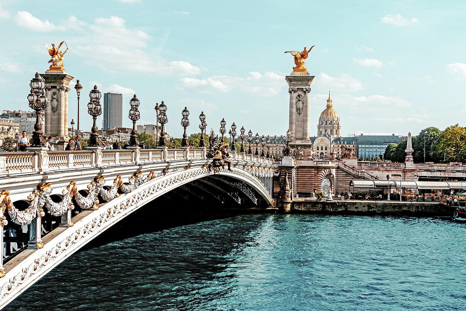 French Court of Cassation confirms BIT silence on dual nationality may extend treaty protection to dual national investors.