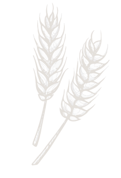 Section Background Element