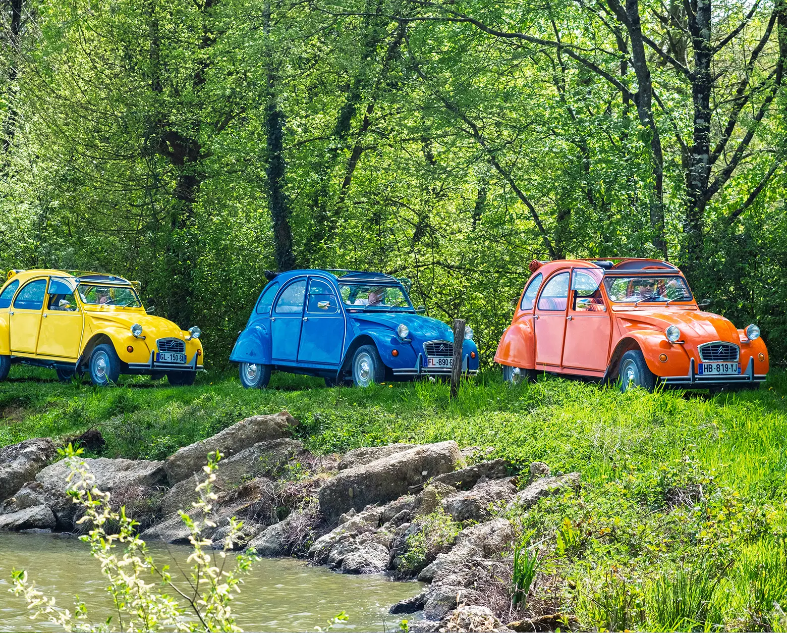 Publicité vidéo We Dolly - Lyon