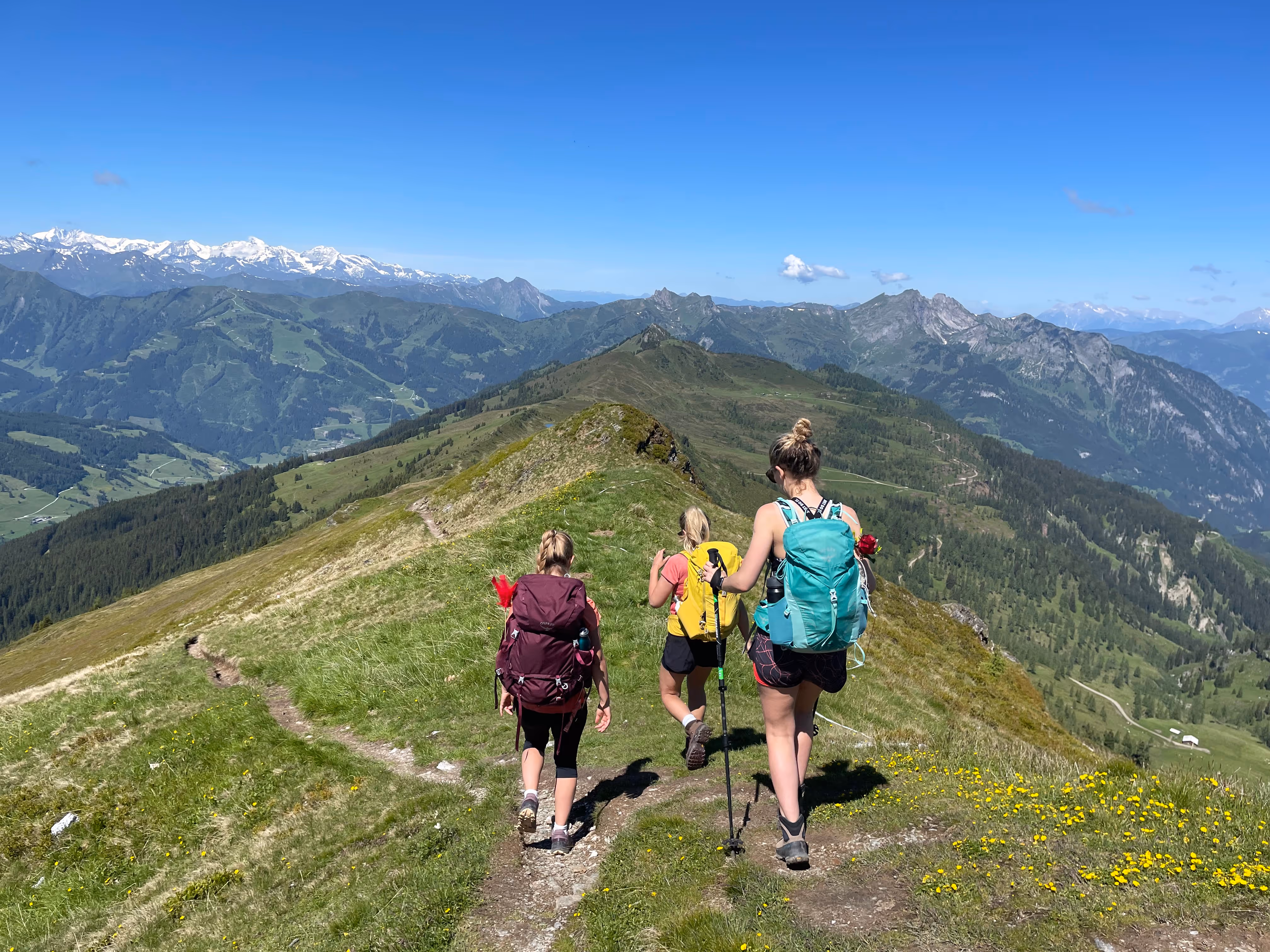 Drei Wanderinnen mit Rucksäcken wandern auf einem Bergpfad mit Blick auf grüne Täler und schneebedeckte Berge unter klarem blauem Himmel.