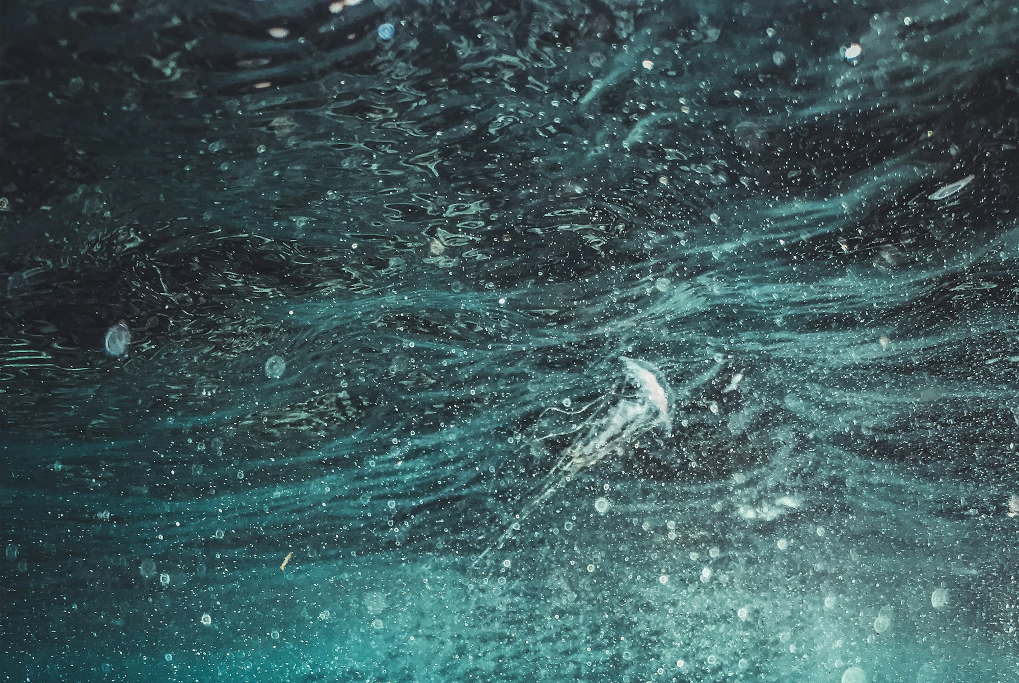 Inside Ebb Carbon: CleanTechnica interviews CEO Ben Tarbell