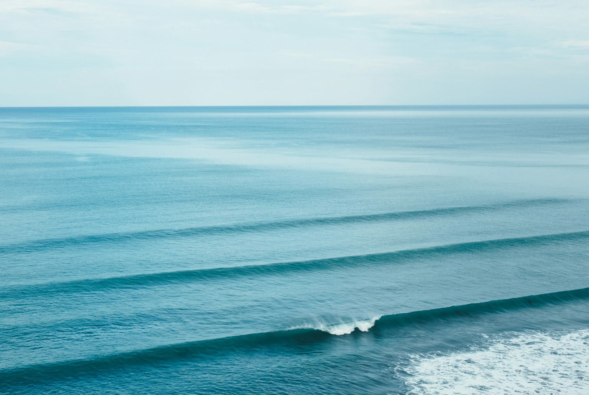 Introducing Ebb Carbon: turning the tide on climate change