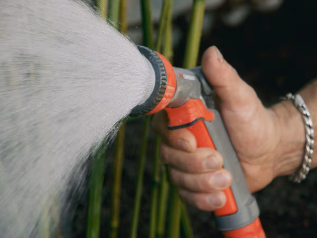 Gartenspritze beim Bewässern von Pflanzen im Garten