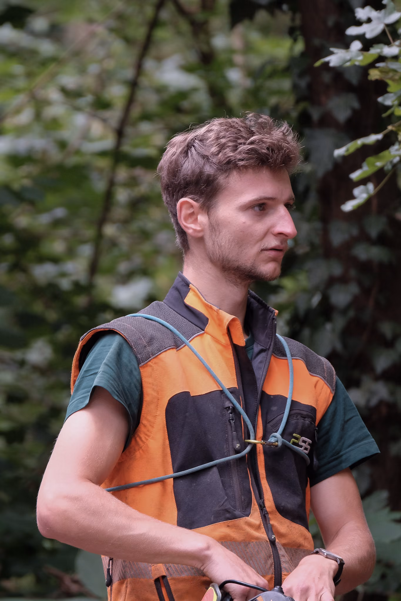 Baumpfleger in Klettermontur arbeitet mit einer Kettensäge im Baum