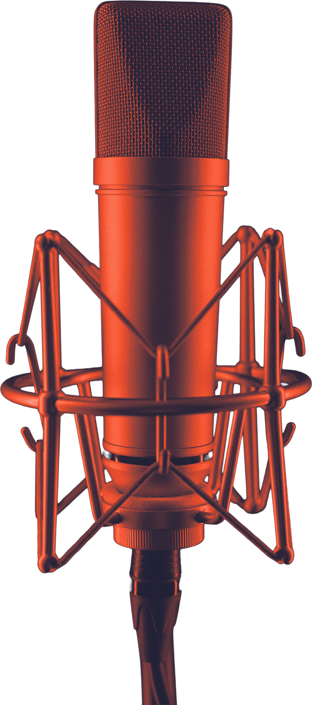 Professional studio microphone