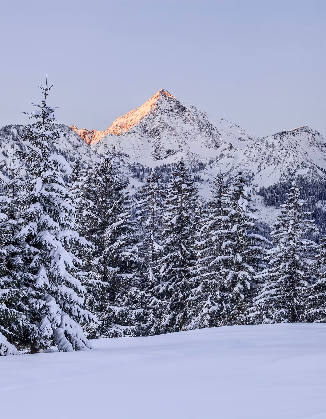 Verschneite Landschaft im Tannheimer Tal mit Abendsonne auf den Gipfeln – Winterstimmung in Tirol.