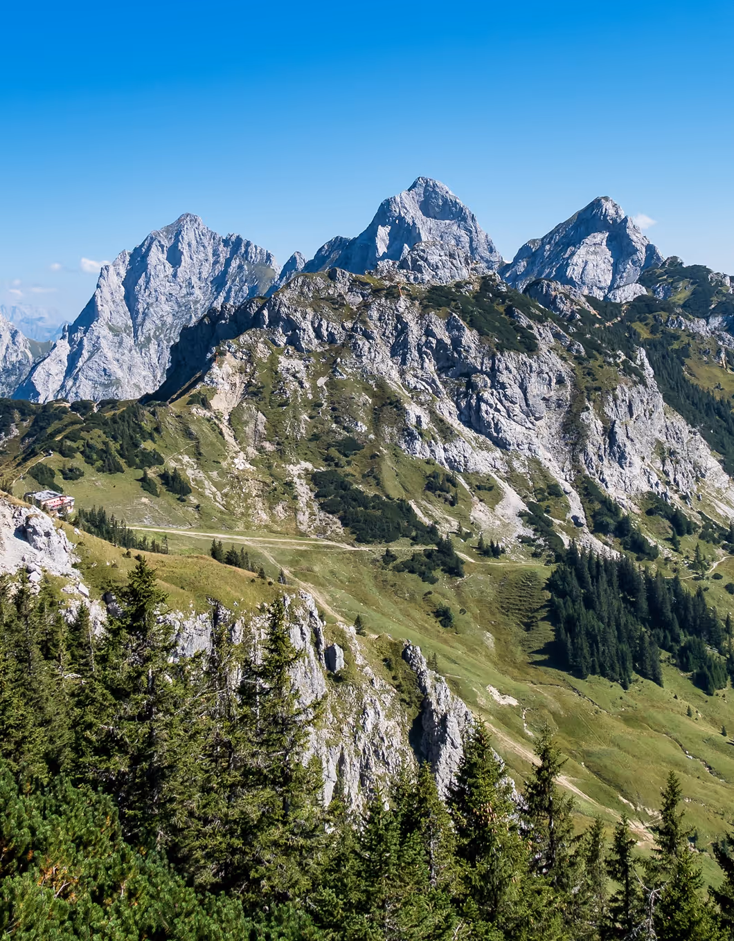 Blick über die Gipfel und Almwiesen des Tannheimer Tals – Wandern und Natur genießen in Tirol.