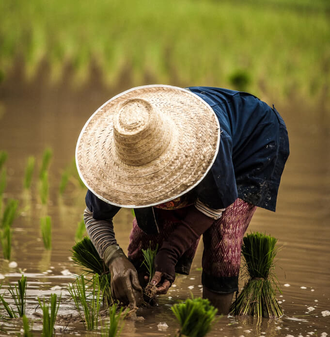 how we do card image