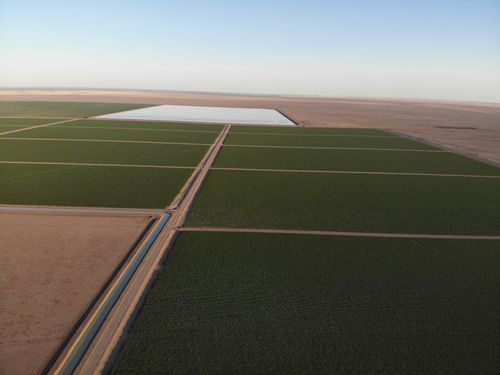 Aerial view of Gulf Cotton crops and dams